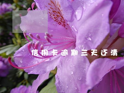 信用卡逾期三天还清 信用卡逾期三天还清