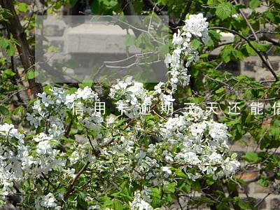 信用卡逾期三天还能借吗 信用卡逾期三天还能借吗