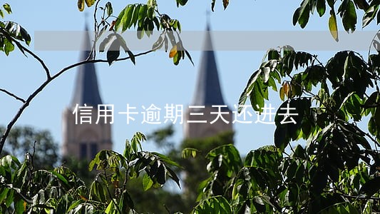 信用卡逾期三天还进去 信用卡逾期三天还进去