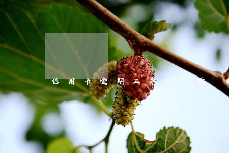 信用卡逾期三年11次