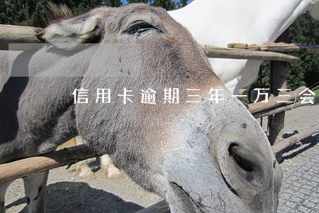 信用卡逾期三年一万三会坐牢吗 信用卡逾期三年一万三会坐牢吗