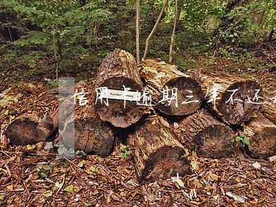 信用卡逾期三年不还利息行吗 信用卡逾期三年不还利息行吗