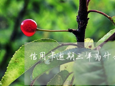 信用卡逾期三年为什么没起诉 信用卡逾期三年为什么没起诉