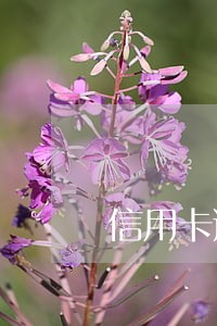 信用卡逾期三年了怎么处理
