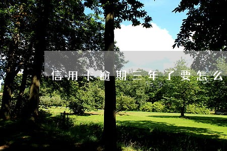 信用卡逾期三年了要怎么还 信用卡逾期三年了要怎么还
