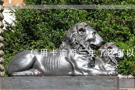 信用卡逾期三年了还可以协商还吗 信用卡逾期三年了还可以协商还吗