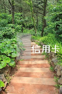 信用卡逾期三年了还能坐动车吗 信用卡逾期三年了还能坐动车吗