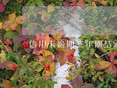 信用卡逾期三年刚结清