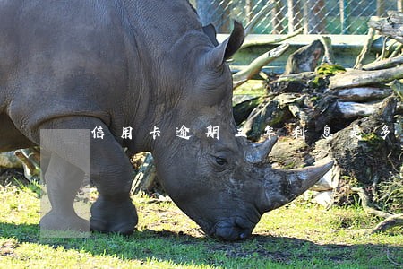 信用卡逾期三年利息是多少 信用卡逾期三年利息是多少