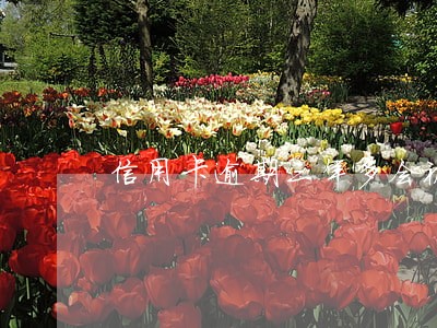 信用卡逾期三年多会被抓吗 信用卡逾期三年多会被抓吗