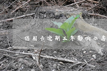 信用卡逾期三年影响办房贷吗 信用卡逾期三年影响办房贷吗