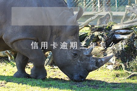 信用卡逾期三年怎么样 信用卡逾期三年怎么样
