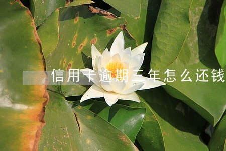 信用卡逾期三年怎么还钱