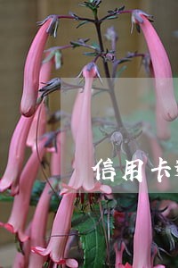 信用卡逾期三年打电话要起诉 信用卡逾期三年打电话要起诉