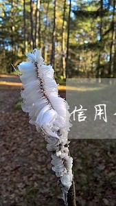 信用卡逾期三年有巨额利息吗 信用卡逾期三年有巨额利息吗