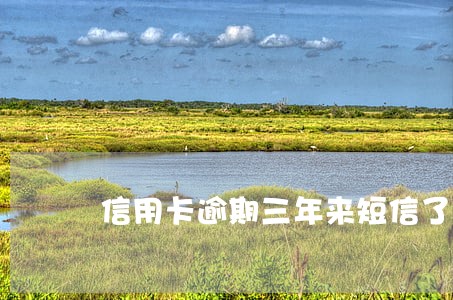 信用卡逾期三年来短信了 信用卡逾期三年来短信了