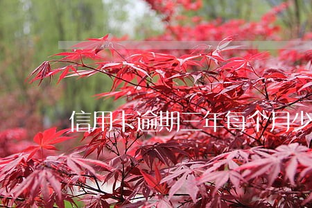 信用卡逾期三年每个月少还点 信用卡逾期三年每个月少还点