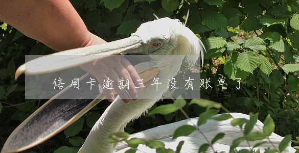 信用卡逾期三年没有账单了 信用卡逾期三年没有账单了
