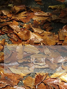 信用卡逾期三年的老哥 信用卡逾期三年的老哥