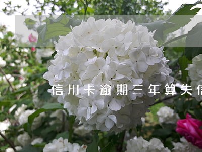 信用卡逾期三年算失信人吗