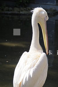 信用卡逾期三年能办护照吗 信用卡逾期三年能办护照吗