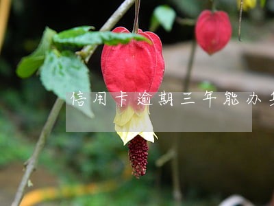 信用卡逾期三年能办身份证吗 信用卡逾期三年能办身份证吗