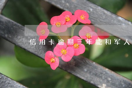 信用卡逾期三年能和军人结婚吗 信用卡逾期三年能和军人结婚吗