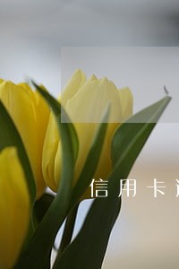 信用卡逾期三年能坐 信用卡逾期三年能坐
