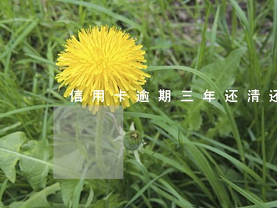 信用卡逾期三年还清还能用吗 信用卡逾期三年还清还能用吗