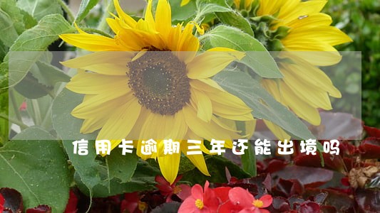信用卡逾期三年还能出境吗 信用卡逾期三年还能出境吗