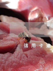 信用卡逾期三年还能协商吗 信用卡逾期三年还能协商吗