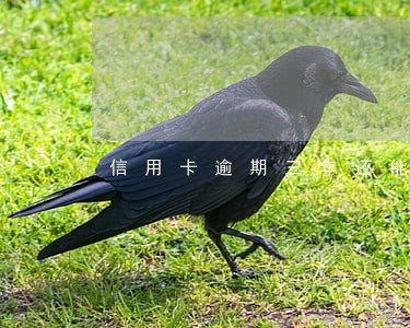 信用卡逾期三年还能解冻