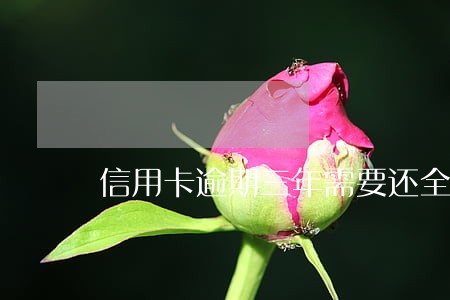 信用卡逾期三年需要还全款吗