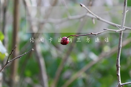 信用卡逾期三方通话 信用卡逾期三方通话