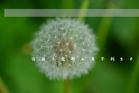 信用卡逾期三月不到5000 信用卡逾期三月不到5000