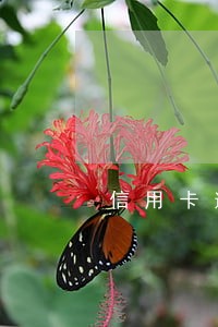 信用卡逾期三月不还是什么情况