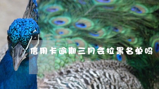 信用卡逾期三月会拉黑名单吗 信用卡逾期三月会拉黑名单吗