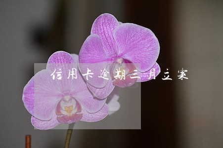 信用卡逾期三月立案 信用卡逾期三月立案