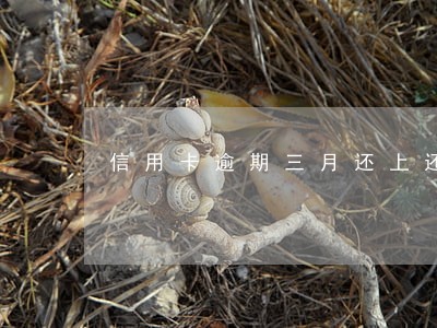 信用卡逾期三月还上还能用吗