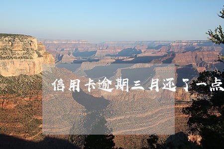 信用卡逾期三月还了一点