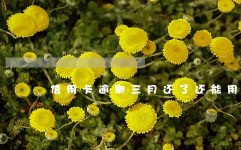 信用卡逾期三月还了还能用吗 信用卡逾期三月还了还能用吗