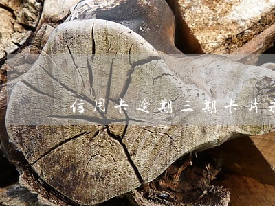 信用卡逾期三期卡片永久冻结 信用卡逾期三期卡片永久冻结