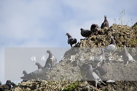 信用卡逾期三期怎么还款 信用卡逾期三期怎么还款