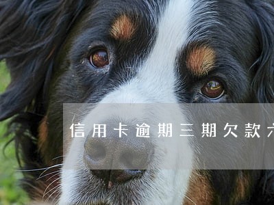 信用卡逾期三期欠款六万 信用卡逾期三期欠款六万
