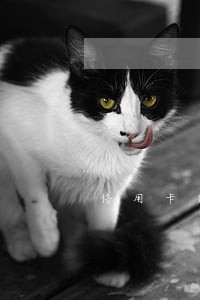 信用卡逾期三期能去香港吗
