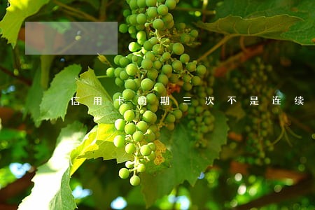 信用卡逾期三次不是连续