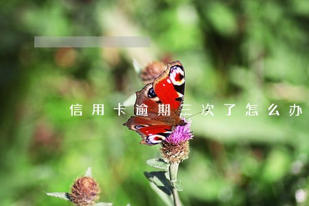 信用卡逾期三次了怎么办 信用卡逾期三次了怎么办