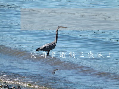 信用卡逾期三次以上 信用卡逾期三次以上