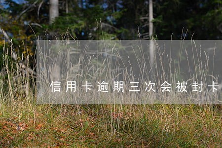 信用卡逾期三次会被封卡吗 信用卡逾期三次会被封卡吗