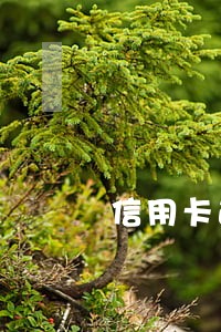信用卡逾期三次可以出证明么 信用卡逾期三次可以出证明么